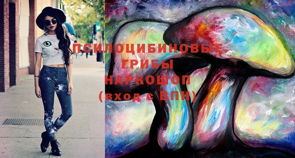 apvp Абинск