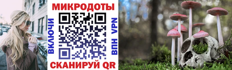 мега ссылка  Верхоянск  Псилоцибиновые грибы прущие грибы  магазин продажи наркотиков 